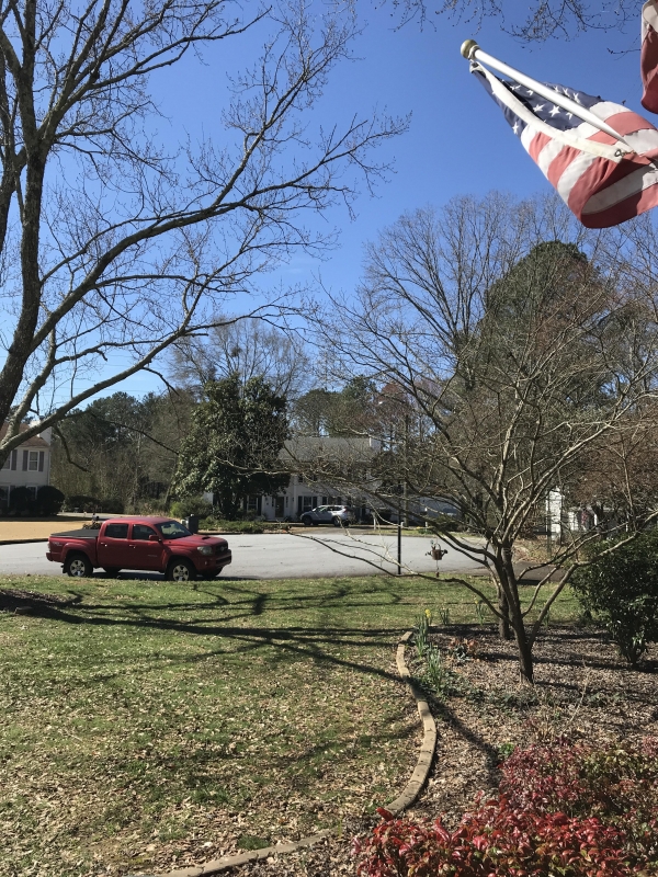 1551024340_8131879865c72c0d4026979.30415848_image.jpg
