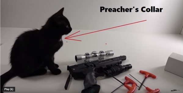 1551206203_14449598085c75873b021eb8.49291616_preacher.JPG