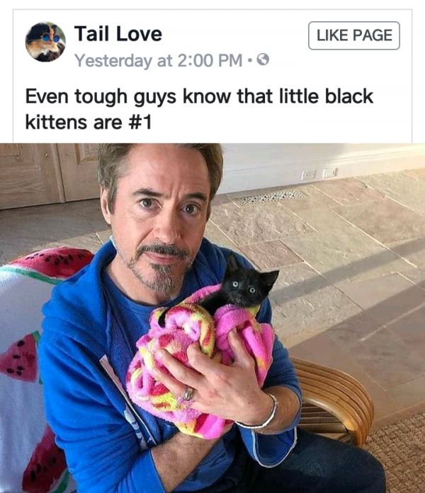 1551207289_4016213885c758b799868c1.21739036_Screenshot_2019-02-17-09-09-43_2.png