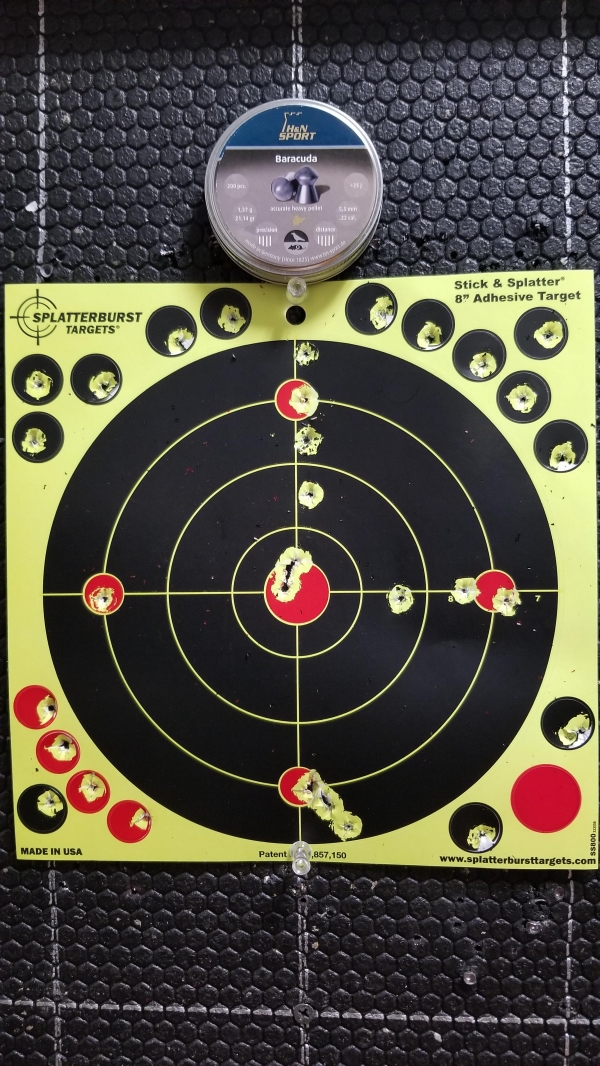 1551558476_6381943075c7ae74c5264c7.16499906_20190228_200851.jpg