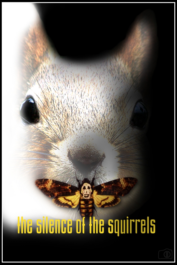 1551603014_12737118645c7b954612f7a3.75607008_the silence of the squirrels.jpg