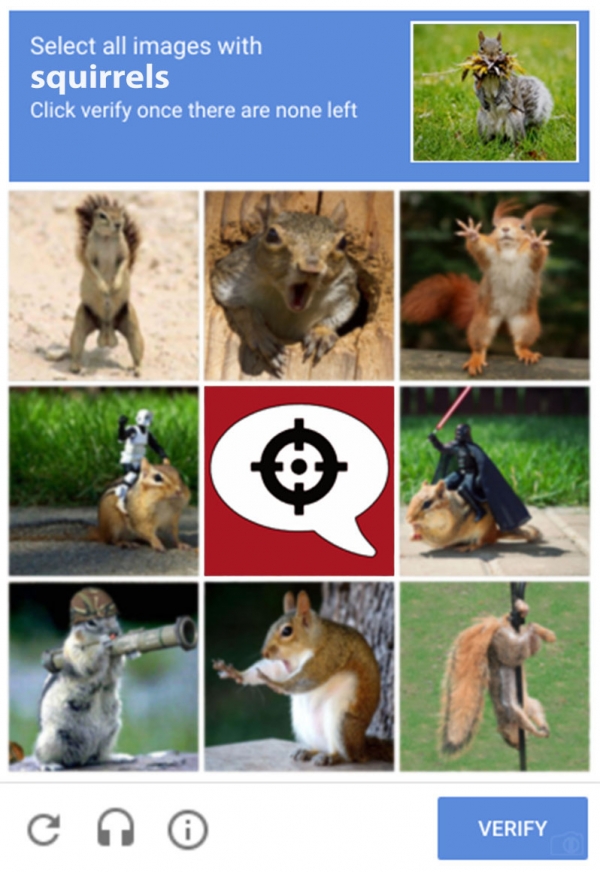 1551652336_5032432325c7c55f06e7786.73372993_AGN SQUIRREL CAPTCHA.jpg