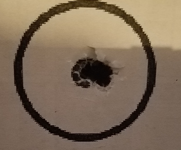 1551669728_12112291835c7c99e0624554.19726908_20190224_103457.jpg