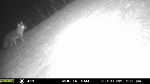 1551719943_16971129675c7d5e07178f07.07214381_MFDC3397.JPG