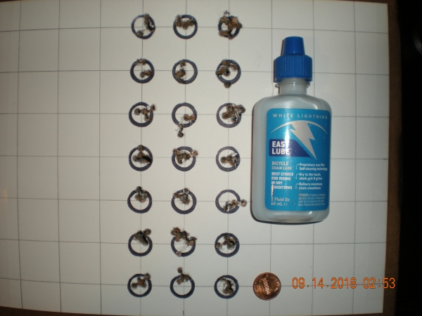 1552233111_18849725545c853297a4c046.32515362_DSCN1618.JPG