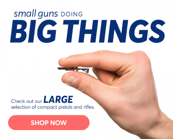 1552489722_12793750035c891cfa180a40.45671340_small_guns_main_v3.png