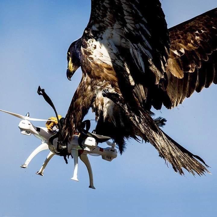 1552772571_10529763615c8d6ddbd33ac1.44132841_88C98A4C-553F-4160-9EE0-3E72E9848C84.jpeg
