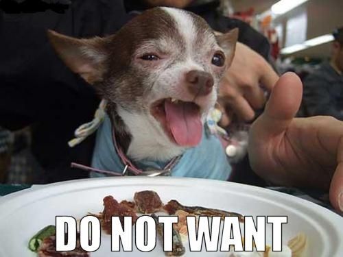 1552938870_7014830645c8ff776af51d1.81969594_Do_Not_Want_Dog_(1)[1].jpg