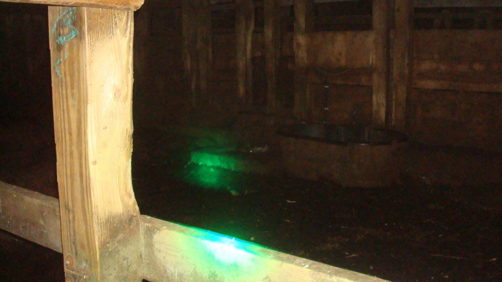 1552970138_2096492775c90719a06fcc6.61203723_barn inside.jpg