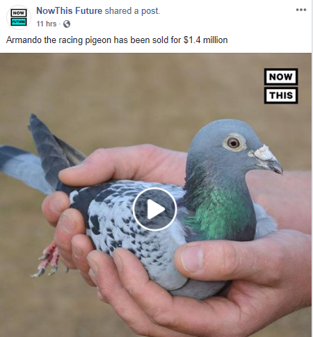 1553082777_13485137185c922999c1aa73.51711422_14m.png