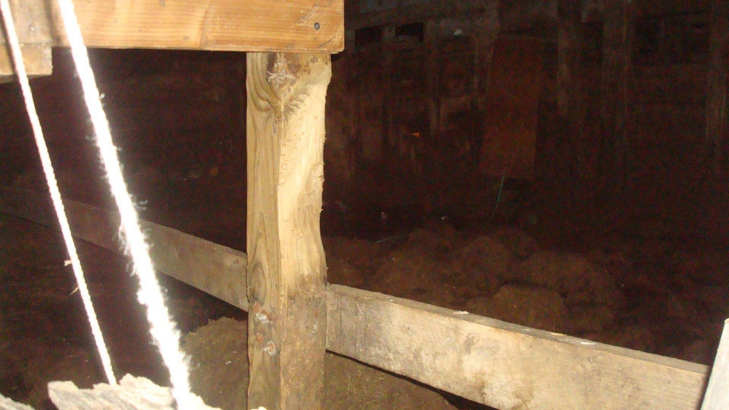1553135557_3391616015c92f7c5e3f6c0.22692409_inside barn.jpg