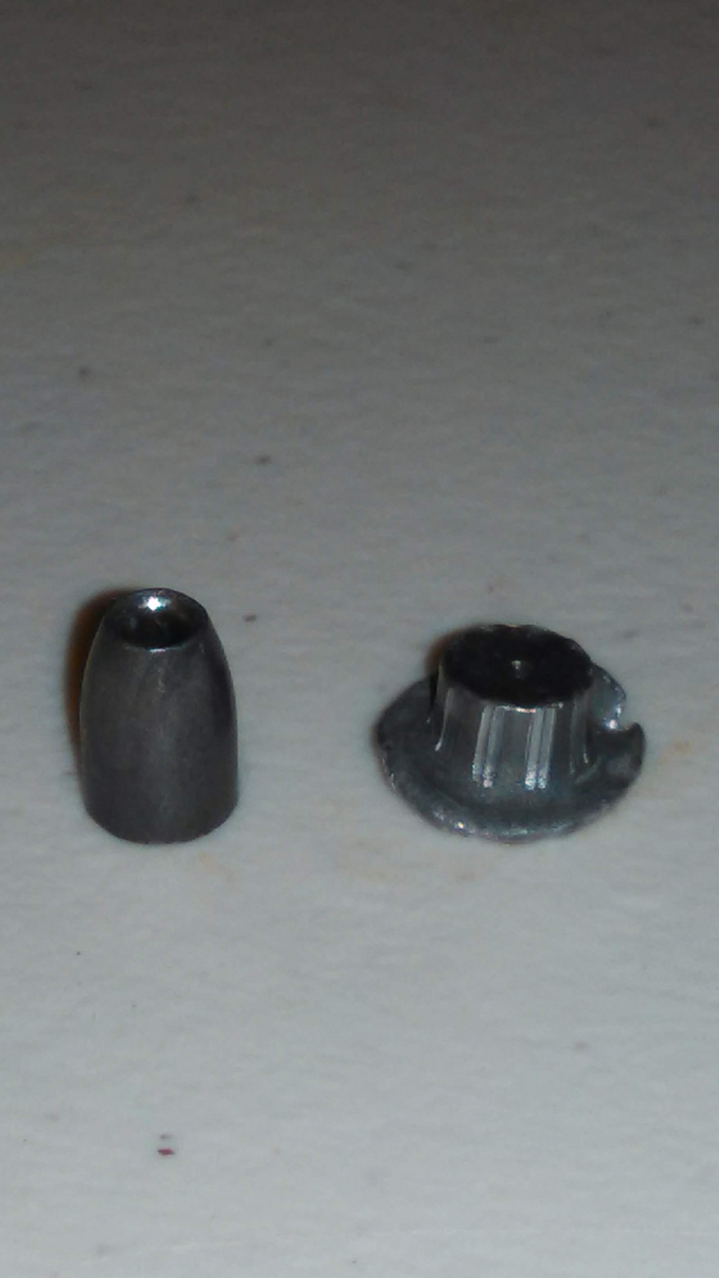1553264875_16039726485c94f0ebb95796.28475394_Slug Expansion 2.jpg