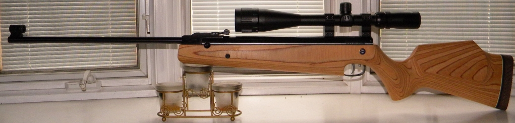 1553456522_13026512985c97dd8acd6346.56481735_56 Beeman R1 Laser MKII.JPG