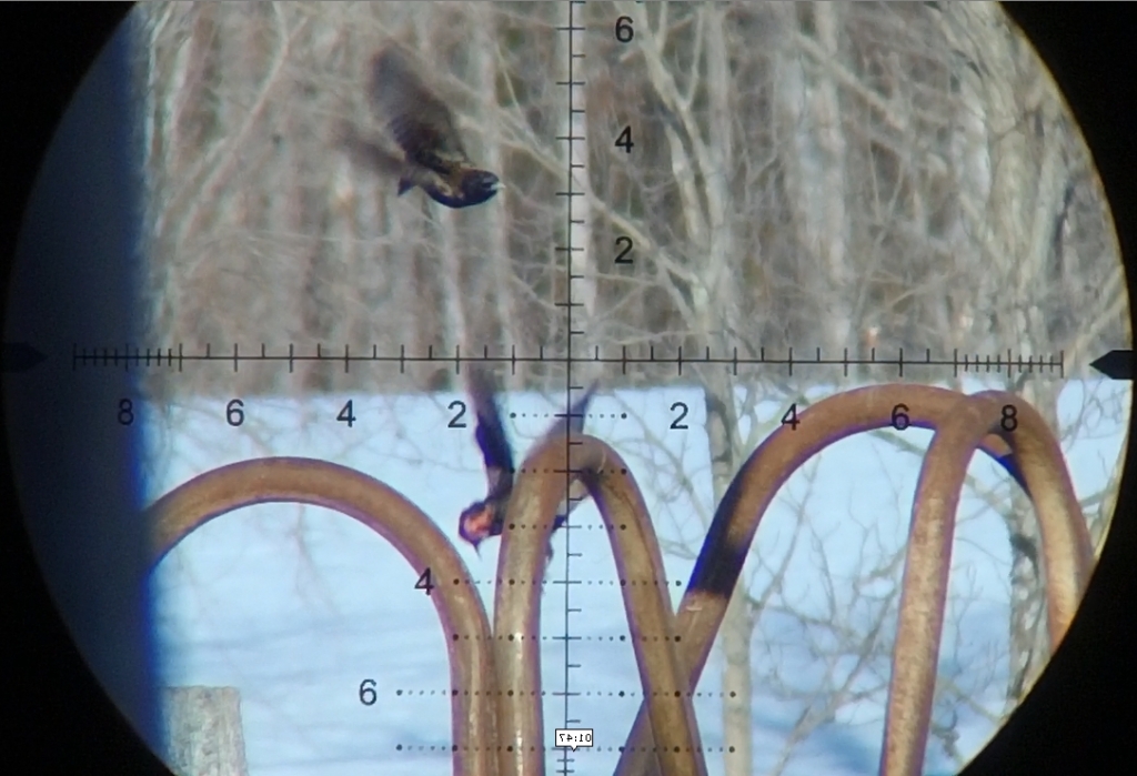 1553461609_7028762605c97f169935e60.80984087_Clipboard022.jpg