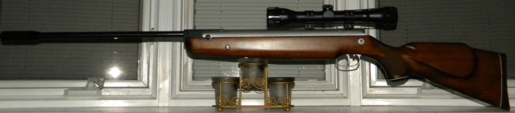 1553506924_10041659555c98a26c119534.09933180_66 Beeman R1 20 year Commemorative.JPG