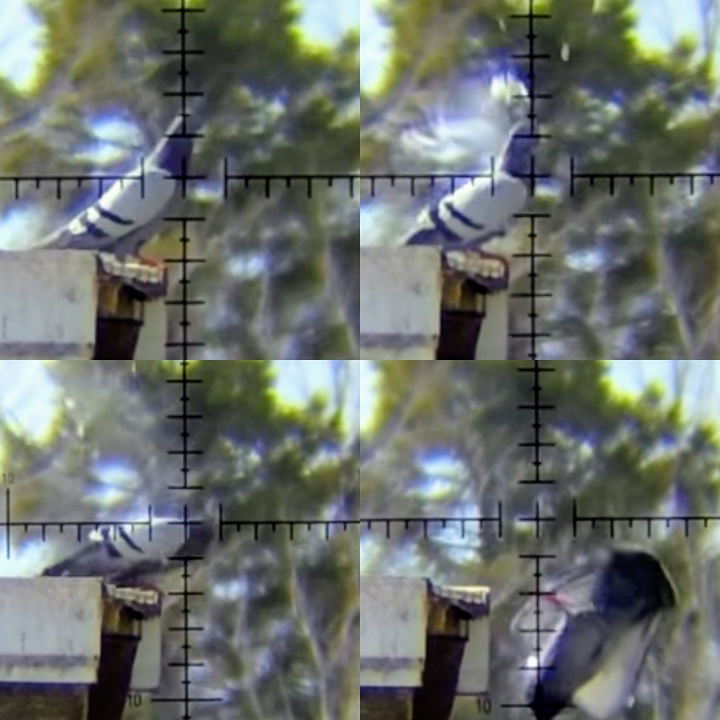 1553878336_16216573035c9e4d40e28df3.24560191_IMG_20190329_111138.jpg