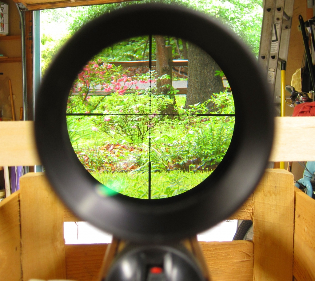 1553946555_18427966535c9f57bb4e2a85.88143425_Scope4.jpg