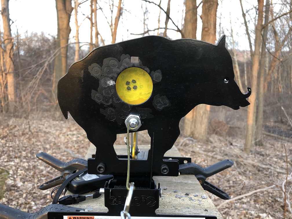 1555016650_17122707135cafabca6dba99.30416965_Gamo-Pig-5shots-55yards-20190330.jpg
