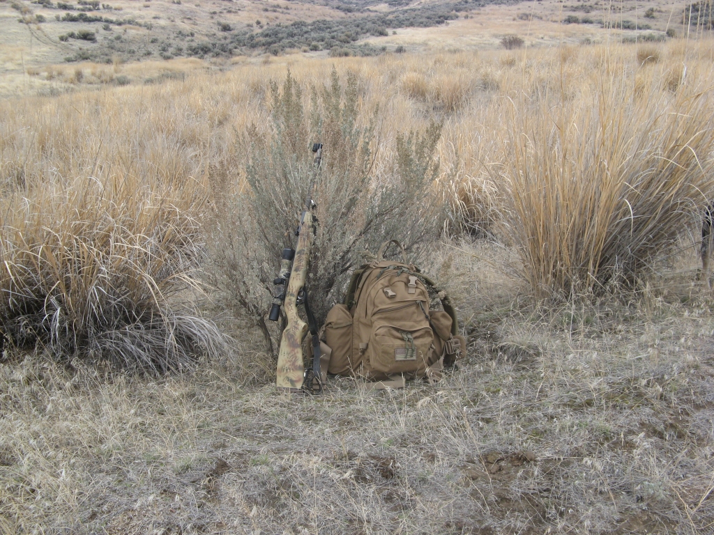 1556665600_4348410295cc8d500c812d8.74920942_High Desert 001.JPG