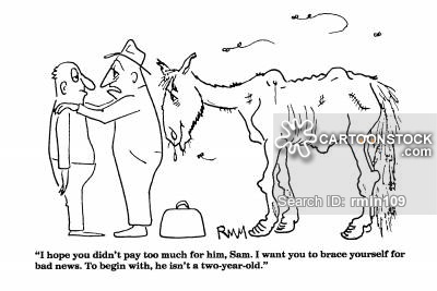 1556907212_5125466185ccc84cc03e6a7.70426537_agriculture-veterinary-veterinarians-vets-nag-old_...jpg