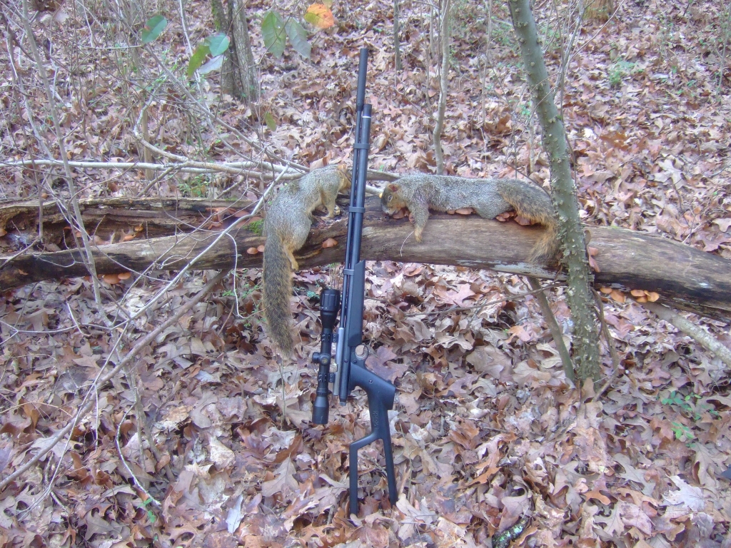 1557078680_18909295395ccf229879a325.10741827_12-30-2015 hunt 007_zpsfa29skst.JPG
