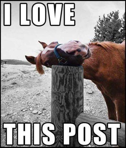 1557401754_3775295045cd4109a5d10c4.95629248_Love-Meme-I-love-this-post-Graphic.jpg