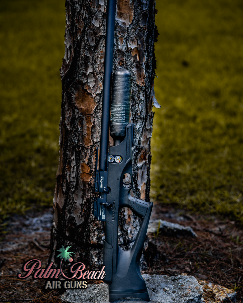 1558556065_17334477055ce5ada17d0f28.28875554_Brocock-Bantam-Sniper-HP-AGN.png