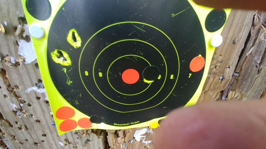 1558823478_16632418225ce9c236209929.81900883_edgun1.jpg