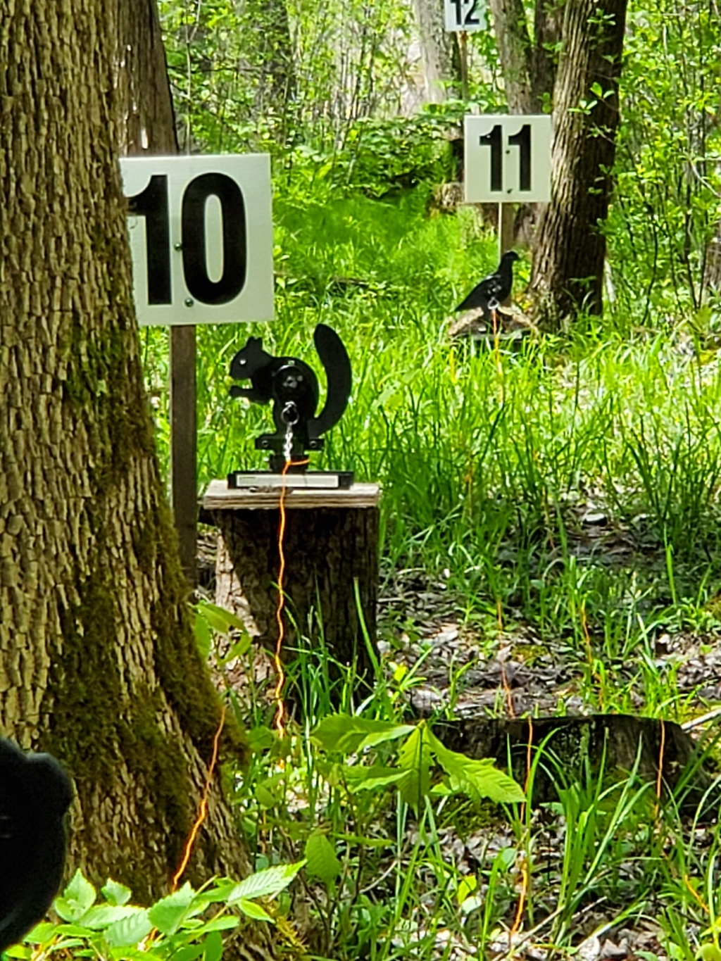 1558976918_14782569535cec199632cd50.46040739_20190526_125056.jpg
