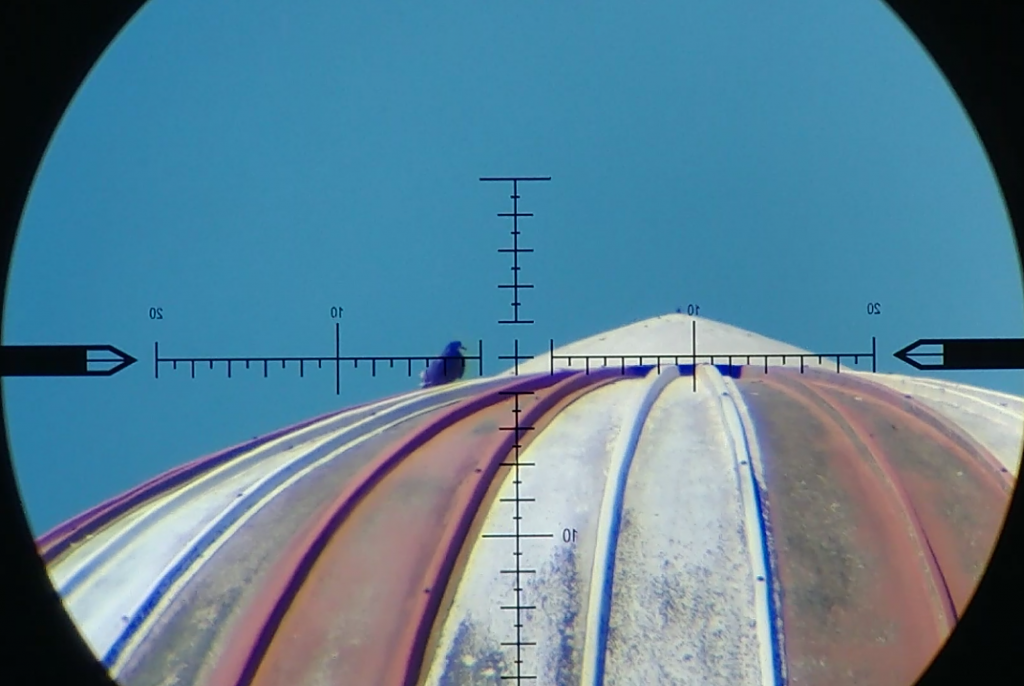 1559509664_6695555515cf43aa04bd2b9.38872172_Screenshot_20190602-144924.png