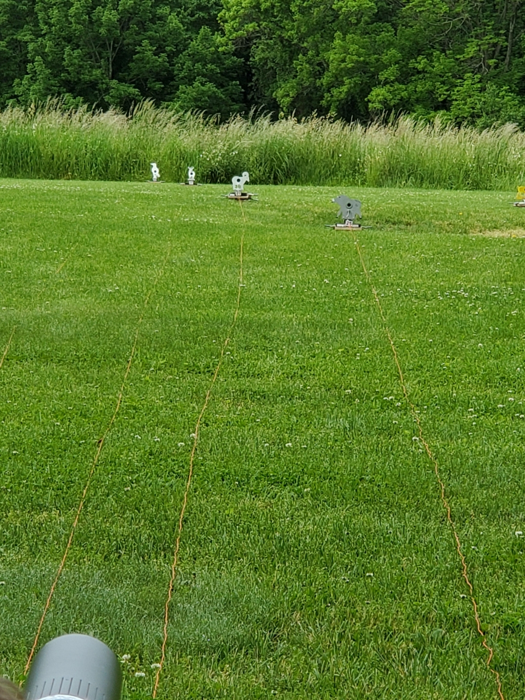 1559567147_970734445cf51b2b53e443.47446553_20190602_101139.jpg