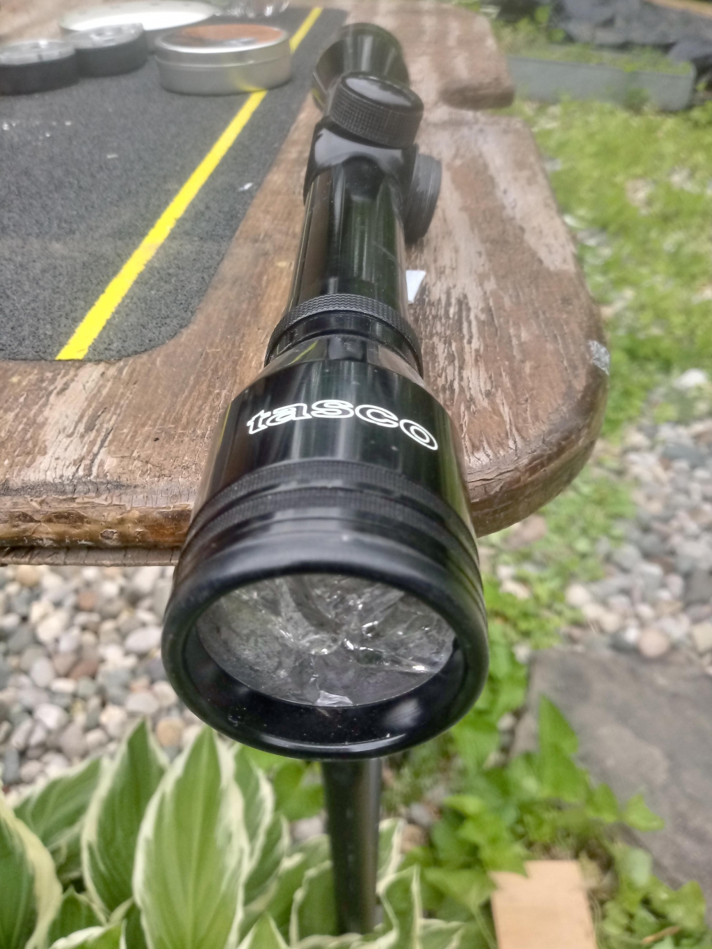 1559696792_16946741845cf71598052ae4.66108111_20190604_170631_HDR.jpg