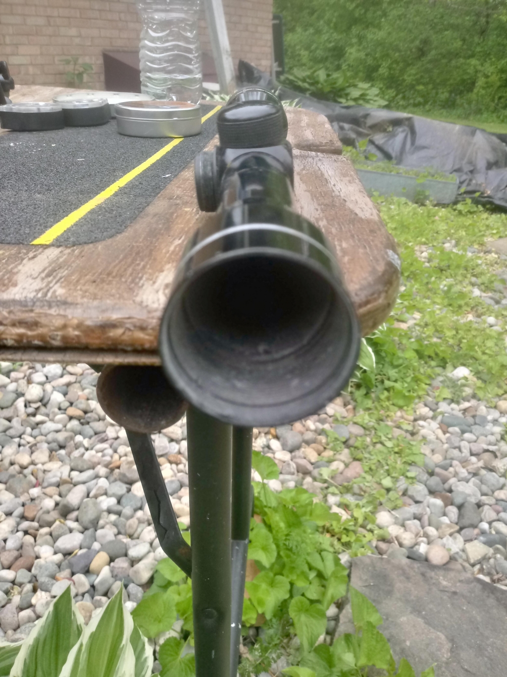 1559696793_5500199625cf71599d26c86.21790565_20190604_170616_HDR.jpg