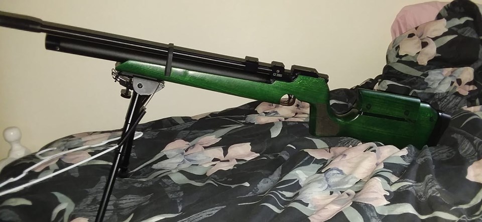 1560623570_8109839845d0539d2489753.92577689_my cz green.jpg