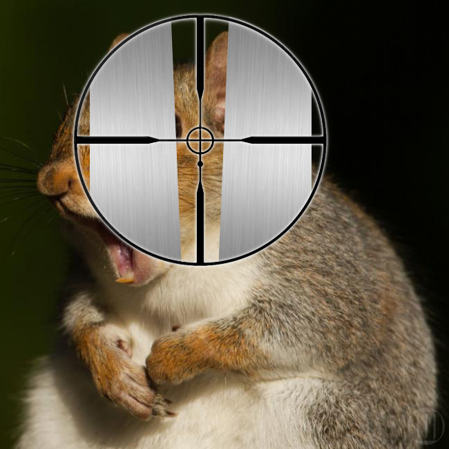 1561834492_21142517785d17b3fc66a9a0.91008646_Umarex Hammer Scope View.jpg