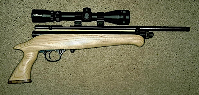 1562383793_3916423885d2015b1b6fcc3.94740600_Frankenpistol right.JPG