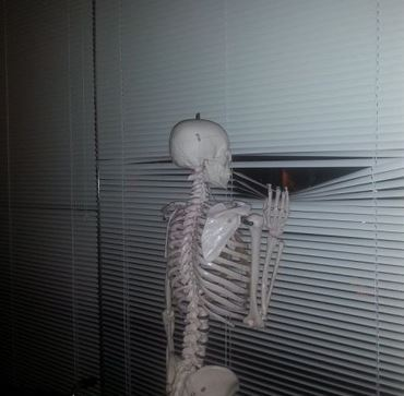 1563734724_9536187225d34b2c40bc189.08287591_Waiting for UPS truck.jpg