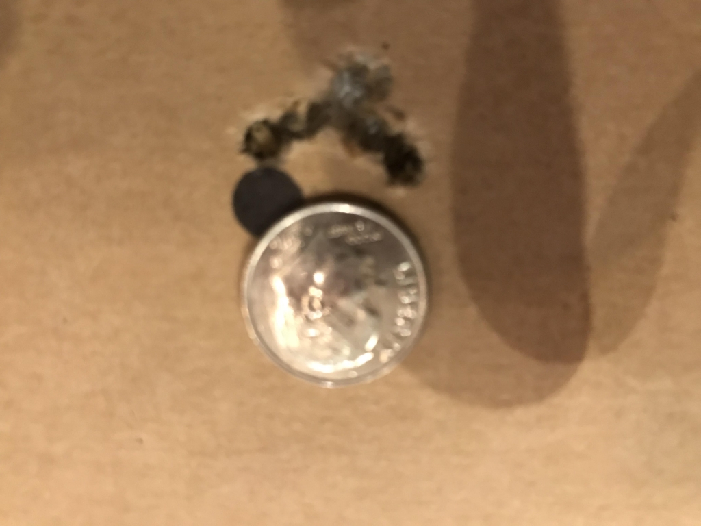 1563936060_975020005d37c53c70b302.31972466_x3.jpg