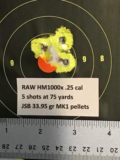 1564348791_14421300595d3e11774cff20.13494405_75 yd target.jpg