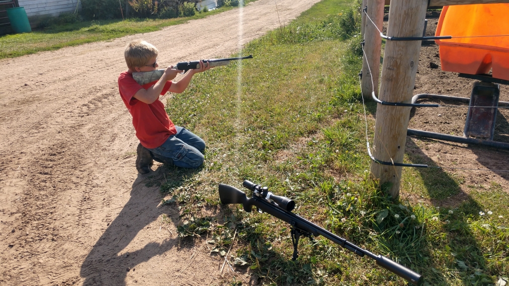1564621941_2418587235d423c75261f19.92347490_IMG_20190731_173554096_HDR.jpg