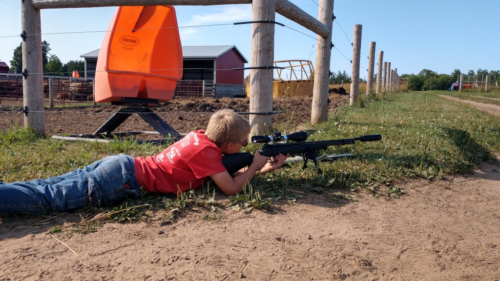 1564622012_3429529195d423cbcbf2249.03897733_IMG_20190731_173940914_HDR.jpg