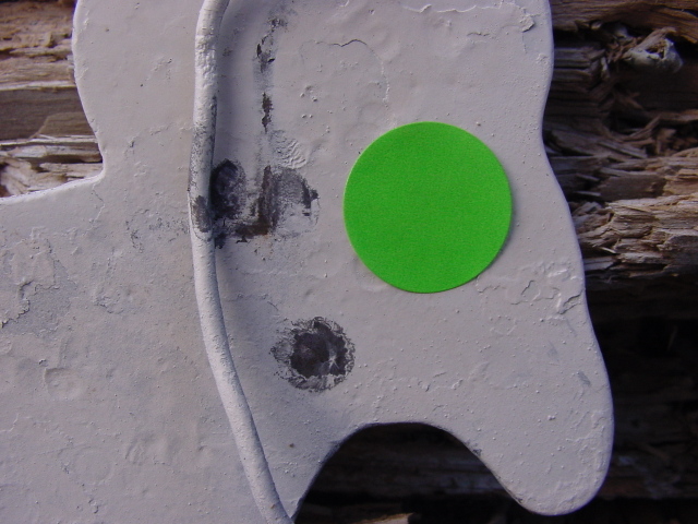 1564661879_20072682355d42d877b479e5.66985002_7-DSC02410.JPG