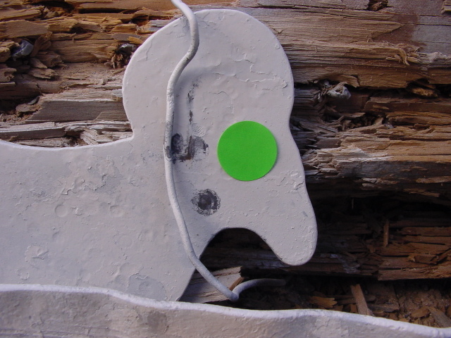 1564958300_36936125d475e5c975c42.90522954_6-DSC02409.JPG
