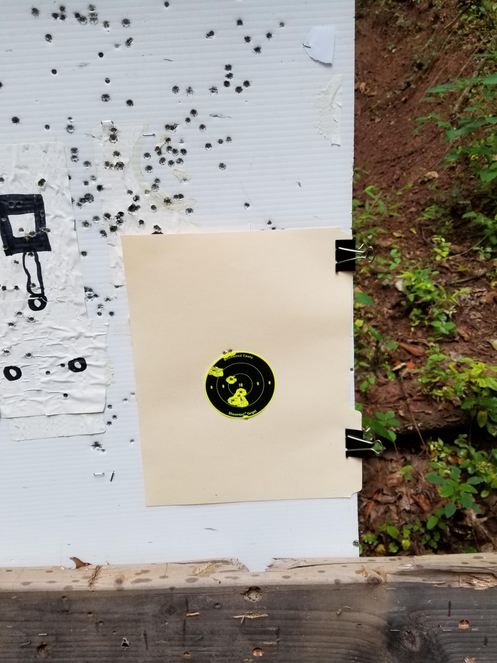 1565748017_10161246175d536b3187bee8.24775366_20190813_185155.jpg