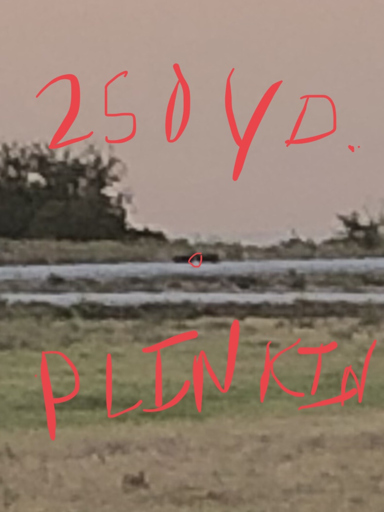 1565755332_4104095875d5387c484c395.72710605_9FC3F389-9BE4-4A40-9F80-5FFFB189F876.jpeg