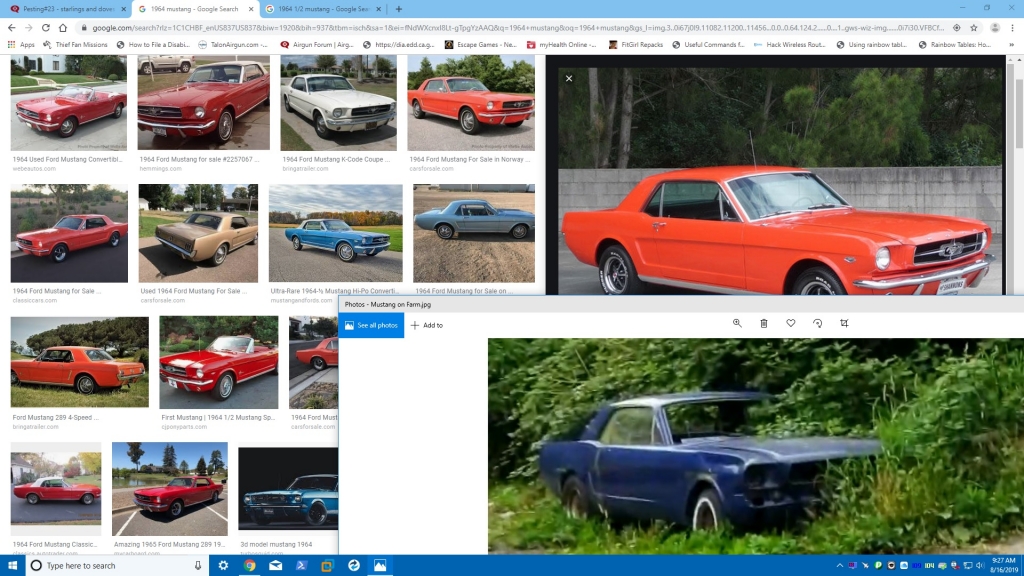 1565973031_20370976855d56da27b8cca3.53880782_Mustan on Farm 2.jpg
