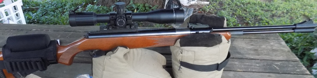 1567125942_8917599265d6871b6dfff01.45373739_This-fine-rifle.jpg