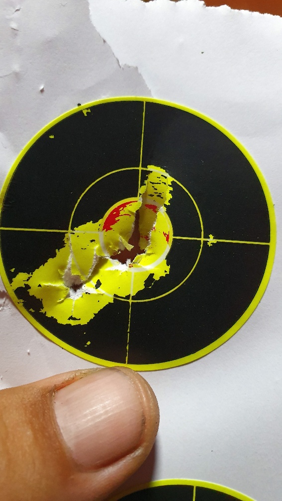 1567213336_3018624815d69c7182bae15.03315989_20190828_195124-567x1008.jpg