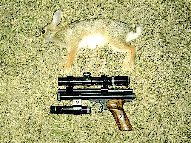 1567545734_14842478655d6ed9868be335.35833137_35 yard bunny.JPG