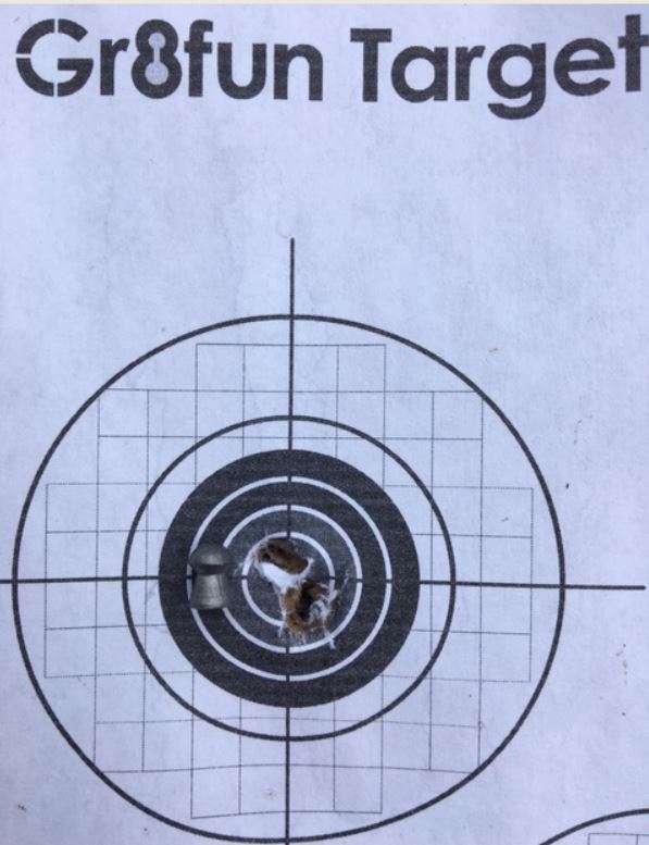 1567962608_21389682335d7535f0488c97.20975465_tgt may2019, 5 shots, 17yds.JPG